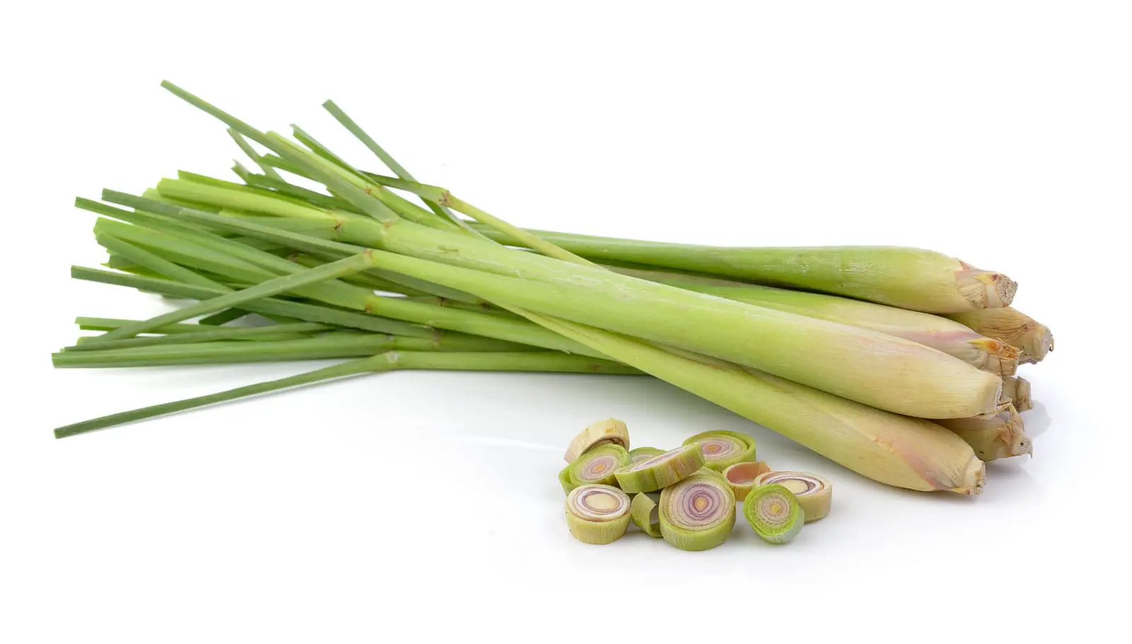 The Secret of Lyposingrass